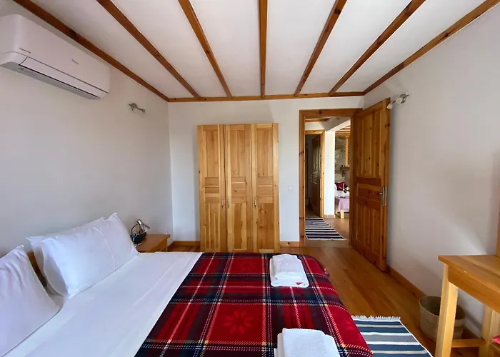 Lamin House